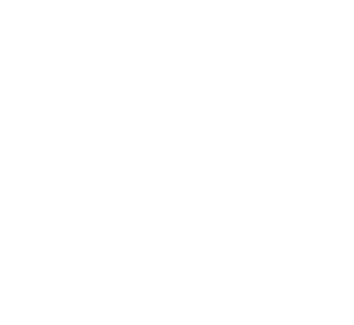 Image Title Alt Image