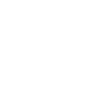 Image Title Alt Image